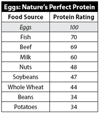 egg_protein_chart